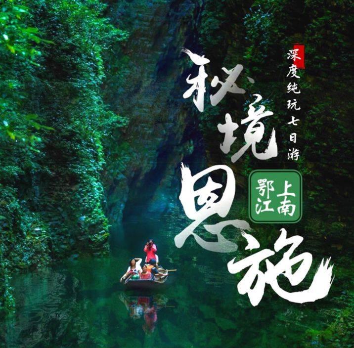 动物帮帮忙保卫家园